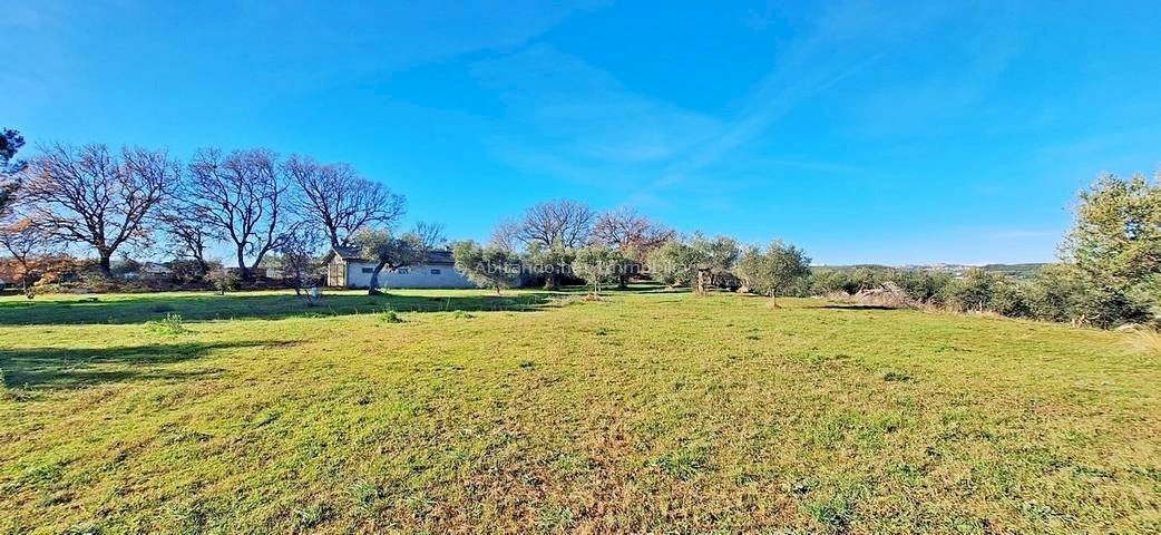 Foto 3 - Magazzino C.da Sablanico, Loreto Aprutino - foto 3