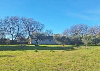 Foto 2 - Warehouse C.da Sablanico, Loreto Aprutino - photo 2