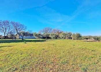 Foto 3 - Warehouse C.da Sablanico, Loreto Aprutino - photo 3