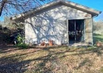 Foto 4 - Warehouse C.da Sablanico, Loreto Aprutino - photo 4