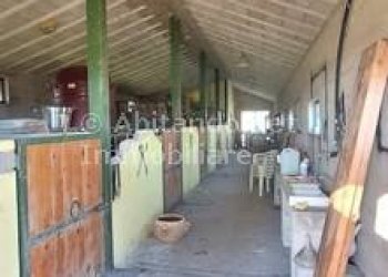 Foto 5 - Warehouse C.da Sablanico, Loreto Aprutino - photo 5