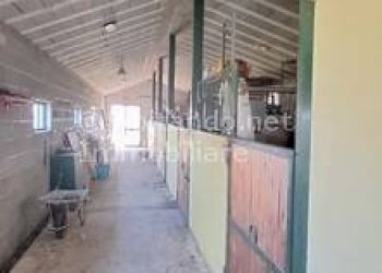 Foto 6 - Warehouse C.da Sablanico, Loreto Aprutino - photo 6