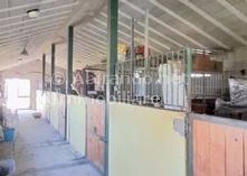 Foto 7 - Warehouse C.da Sablanico, Loreto Aprutino - photo 7