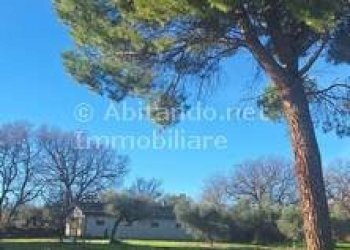 Foto 8 - Warehouse C.da Sablanico, Loreto Aprutino - photo 8