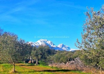 Foto 10 - Warehouse C.da Sablanico, Loreto Aprutino - photo 10