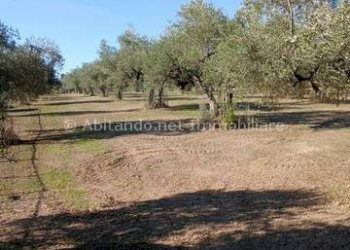 Foto 17 - Warehouse C.da Sablanico, Loreto Aprutino - photo 17