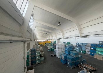 Foto 4 - Shed Collegno - photo 4