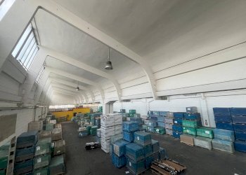 Foto 5 - Shed Collegno - photo 5