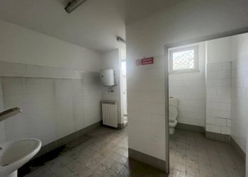 Foto 14 - Shed Collegno - photo 14