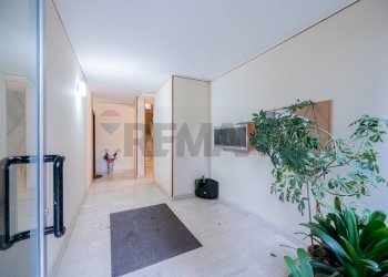 Hall / corridoio - Quadrilocale Via Torrente Bardea
 
11, Parma - foto 50