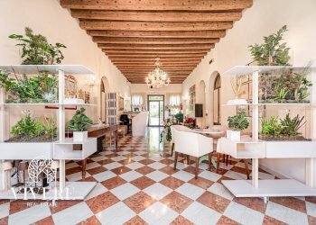 Foto 4 - Hotel Dolo - photo 4
