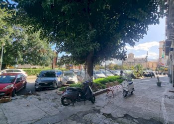 Edificio all\'aperto - Shop PIAZZA XIII VITTIME
 
26, Palermo - photo 14