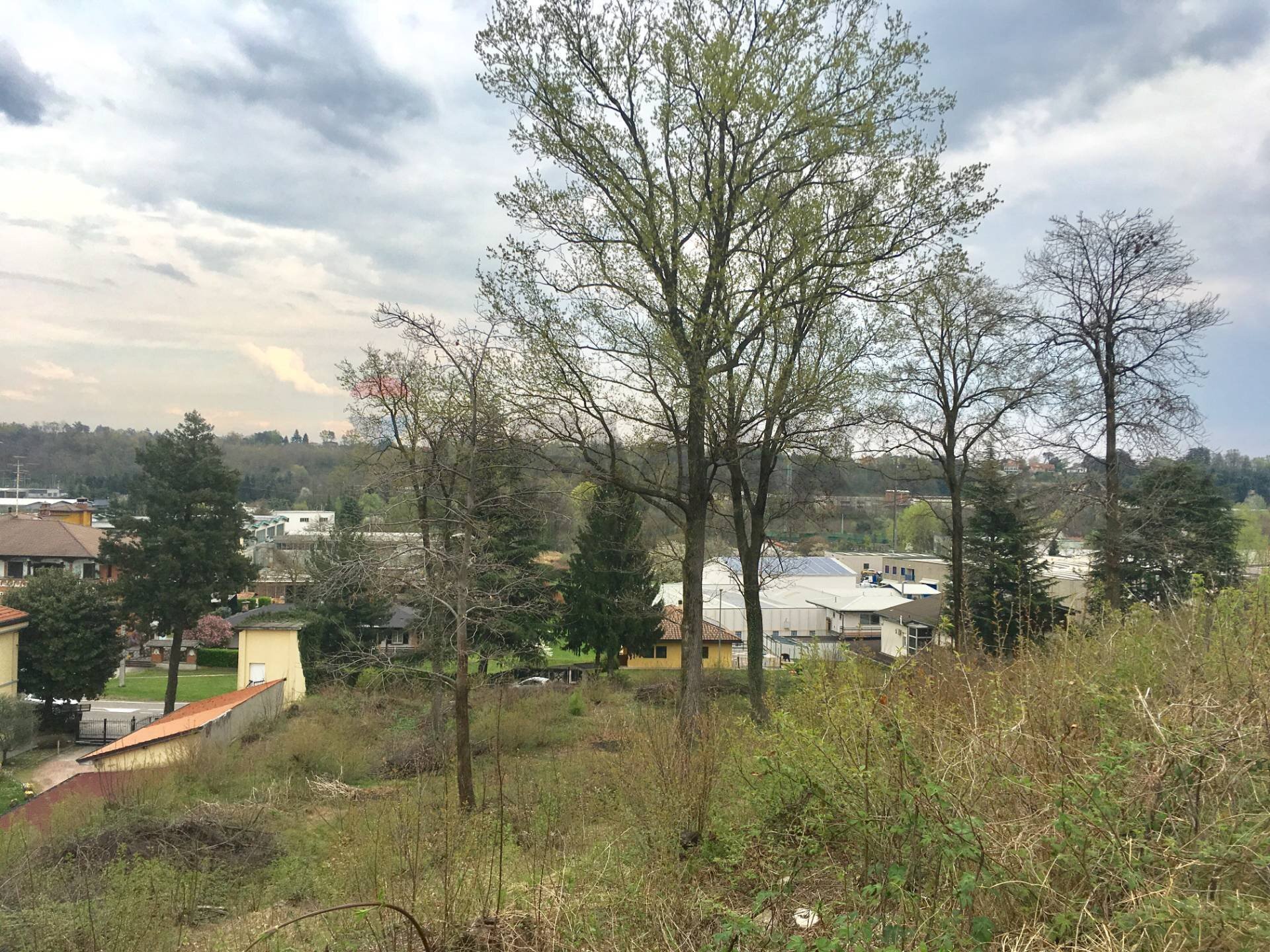 Giardino - Terreno edificabile Varesina, Jerago con Orago - foto 2