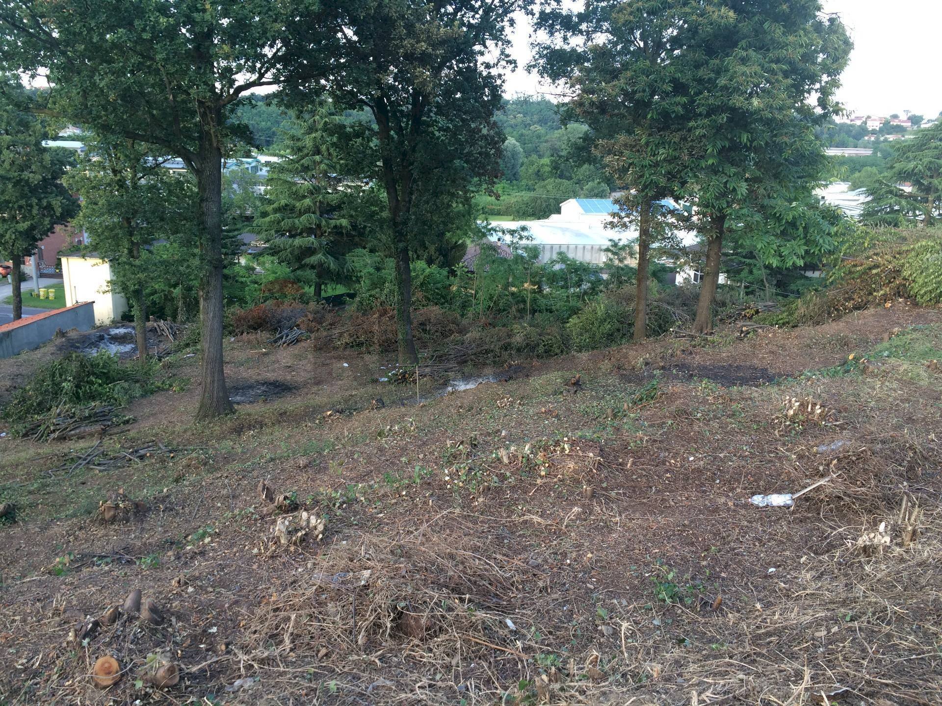 Giardino - Terreno edificabile Varesina, Jerago con Orago - foto 3