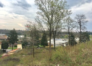 Giardino - Terreno edificabile Varesina, Jerago con Orago - foto 2