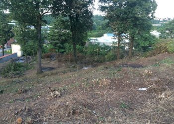 Giardino - Terreno edificabile Varesina, Jerago con Orago - foto 3