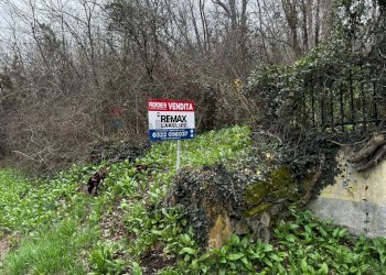 Giardino - Building land Varesina, Jerago con Orago - photo 12