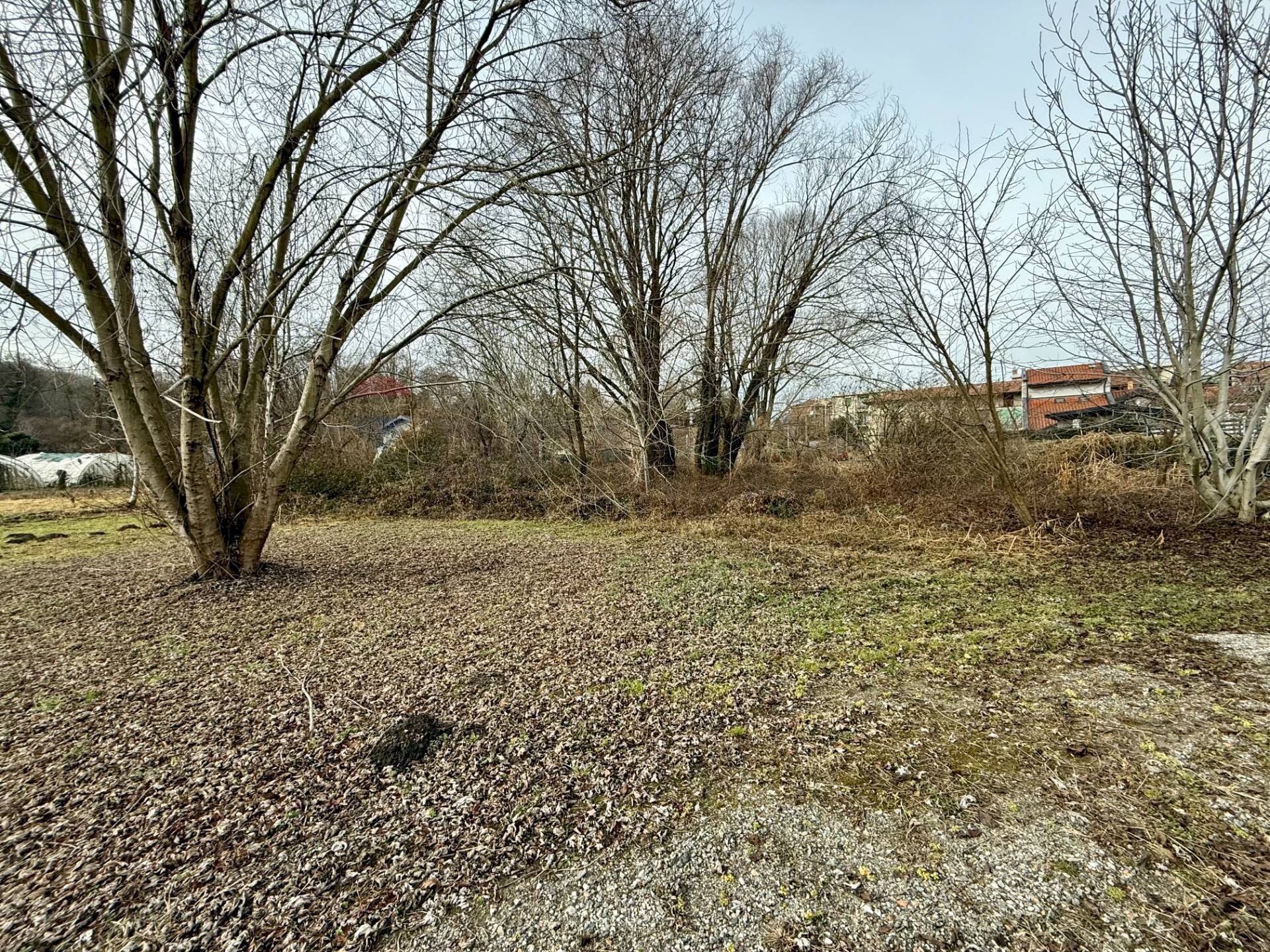 Giardino - Terreno edificabile Arona - foto 2