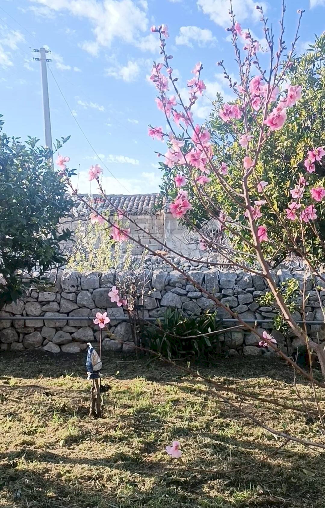 Giardino - Villa canizzara ciancia, Modica - foto 3