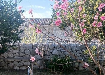 Giardino - Villa canizzara ciancia, Modica - foto 3