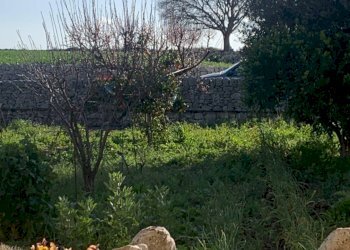 Giardino - Villa canizzara ciancia, Modica - foto 6