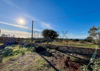 Giardino - Villa Via Macchie dei Beneficati
 
snc, Gallipoli - foto 41