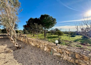 Giardino - Villa Via Macchie dei Beneficati
 
snc, Gallipoli - foto 42