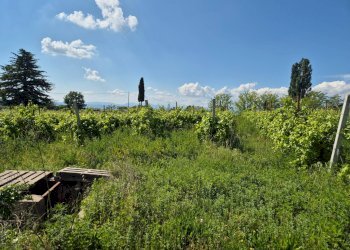 Foto 5 - Agricultural land località Grisa, Lazise - photo 5