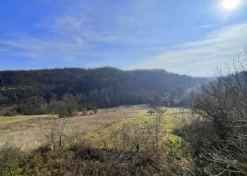 Foto 28 - Casa indipendente Piana Crixia - foto 28