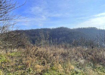 Foto 31 - Casa indipendente Piana Crixia - foto 31