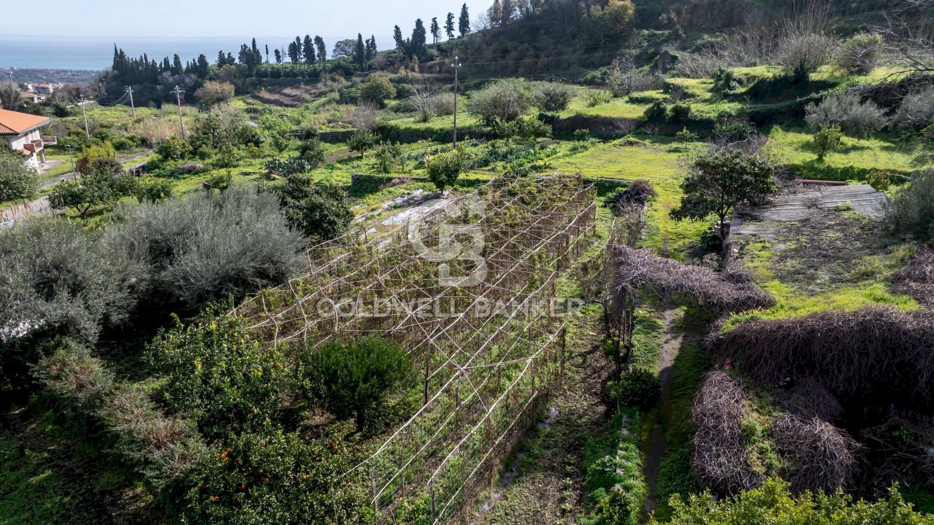 Foto 2 - Terreno edificabile Viale Kennedy, Mascali - foto 2