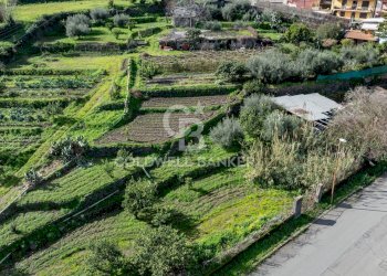 Foto 4 - Terreno edificabile Viale Kennedy, Mascali - foto 4