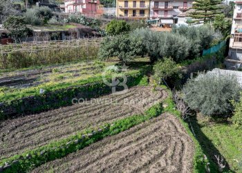 Foto 7 - Terreno edificabile Viale Kennedy, Mascali - foto 7