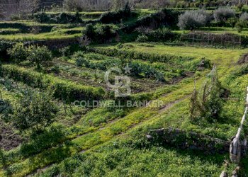 Foto 8 - Terreno edificabile Viale Kennedy, Mascali - foto 8