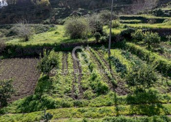 Foto 9 - Terreno edificabile Viale Kennedy, Mascali - foto 9