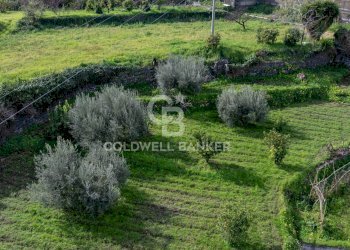 Foto 16 - Terreno edificabile Viale Kennedy, Mascali - foto 16