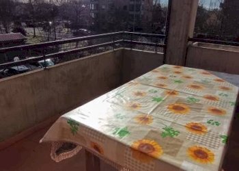Terrazzo - Three-room apartment Sala Bolognese - photo 2