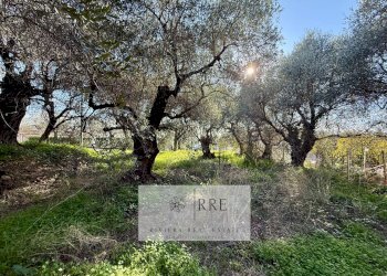 Foto 22 - Villa via Monade, Diano Marina - foto 22