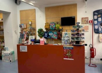 Interno non residenziale - Negozio corso Giuseppe Garibaldi, 10, Pavia - foto 5