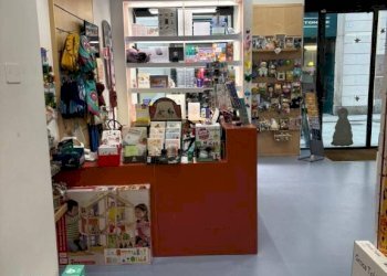 Interno non residenziale - Negozio corso Giuseppe Garibaldi, 10, Pavia - foto 8