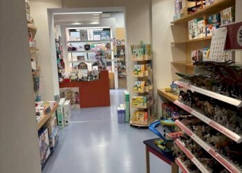 Interno non residenziale - Negozio corso Giuseppe Garibaldi, 10, Pavia - foto 9