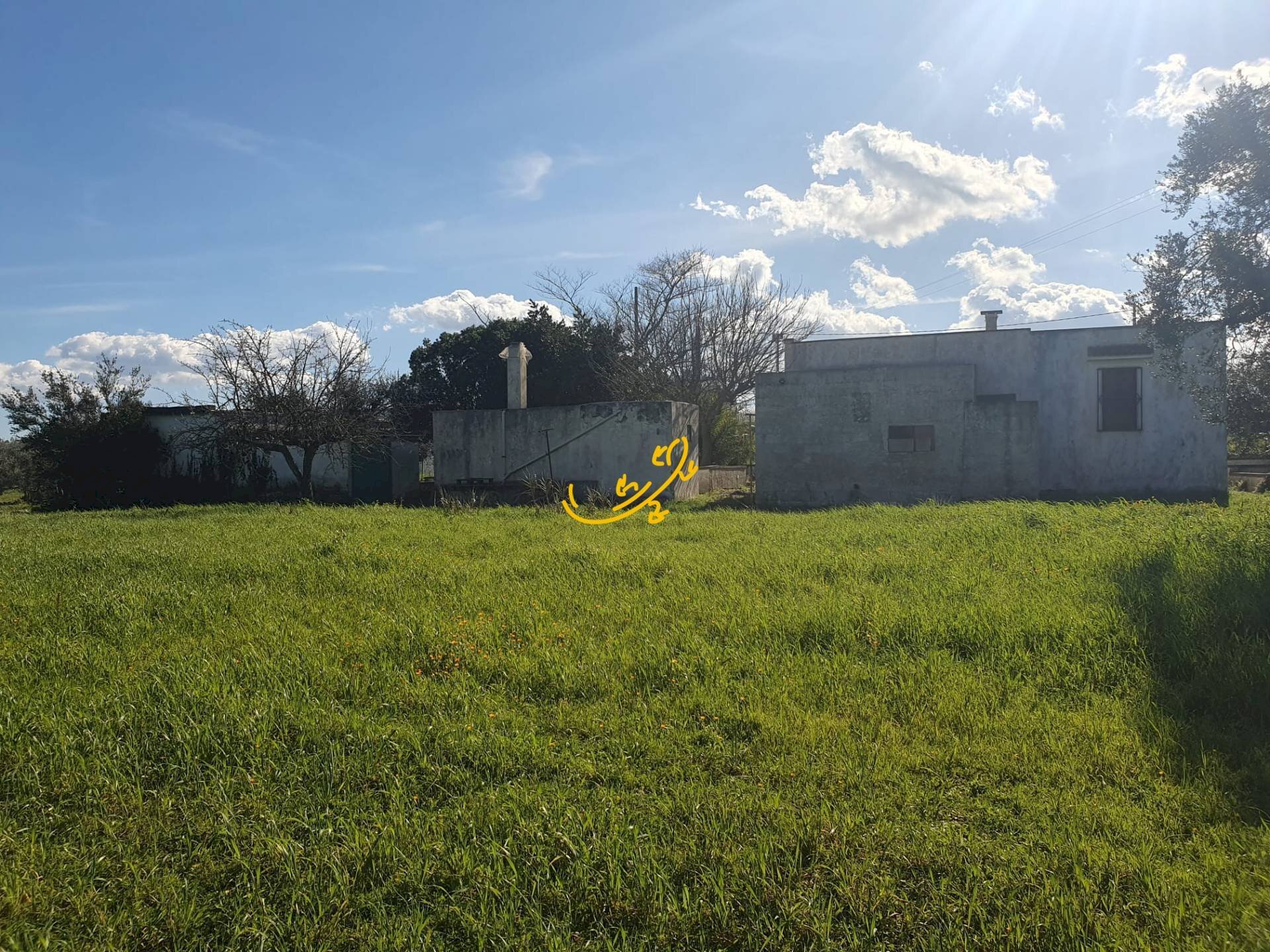Foto 1 - Rustico Contrada Cappelluzzo, Ostuni - foto 1