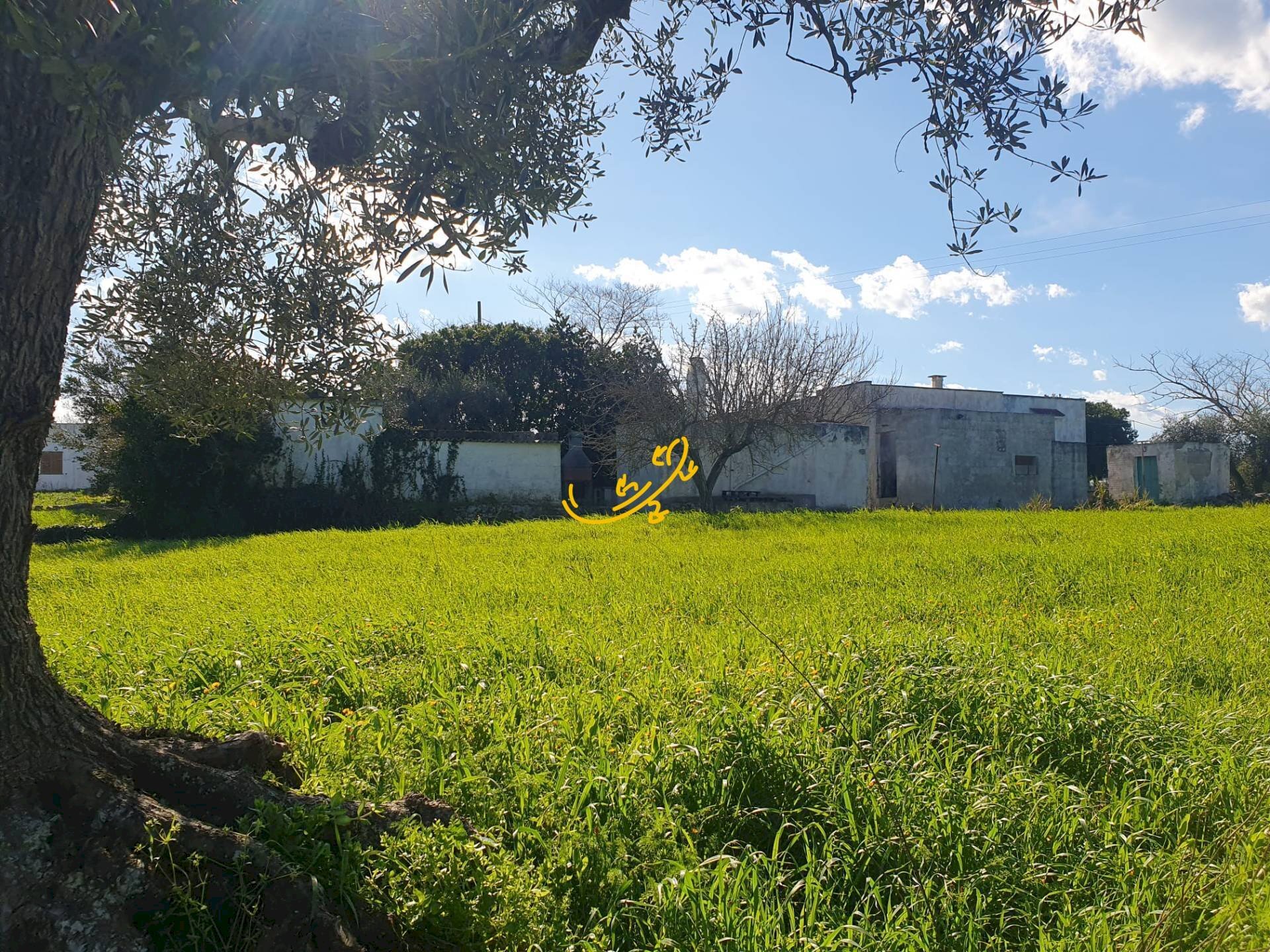 Foto 2 - Rustico Contrada Cappelluzzo, Ostuni - foto 2