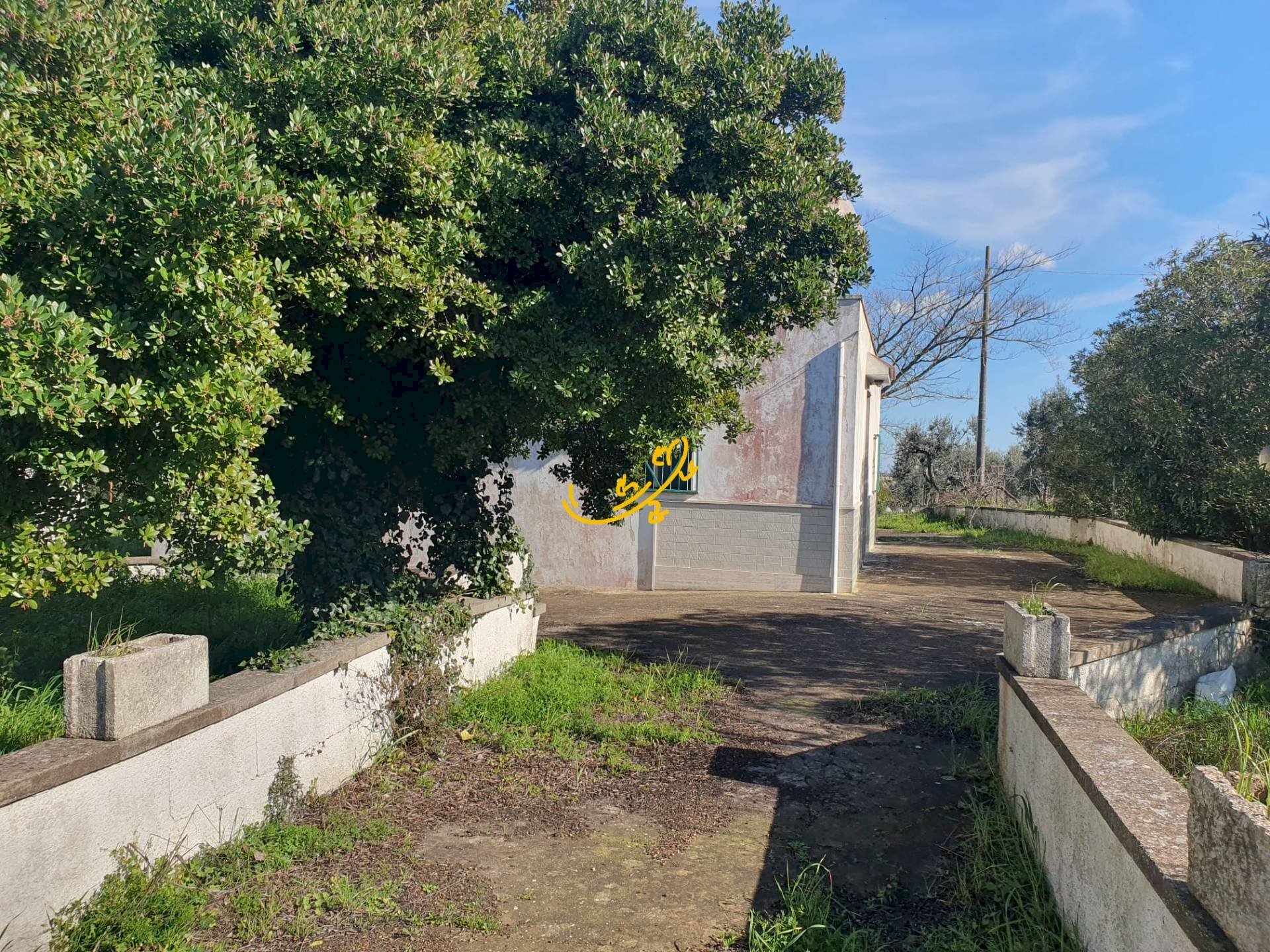 Foto 3 - Rustico Contrada Cappelluzzo, Ostuni - foto 3