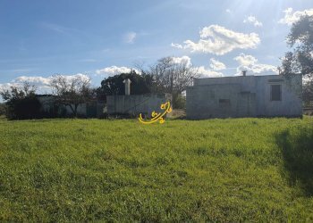 Foto 1 - Rustico Contrada Cappelluzzo, Ostuni - foto 1