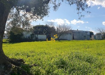 Foto 2 - Rustico Contrada Cappelluzzo, Ostuni - foto 2