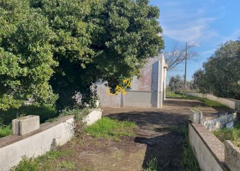 Foto 3 - Rustico Contrada Cappelluzzo, Ostuni - foto 3