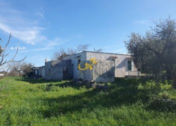 Foto 4 - Rustico Contrada Cappelluzzo, Ostuni - foto 4