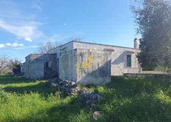 Foto 5 - Rustico Contrada Cappelluzzo, Ostuni - foto 5