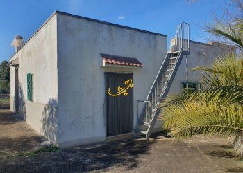 Foto 7 - Rustico Contrada Cappelluzzo, Ostuni - foto 7